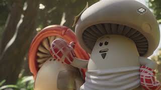 Boomerang, Continuity, 22.11.2021