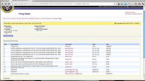 SEC EDGAR Financial Report Lookup Demo