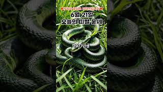 6월21일 오늘의 띠별 운세_뱀띠 #shorts