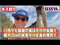【キス釣り】12月でも福岡の海はキスの楽園！最大20cmの良型キスを含め爆釣！