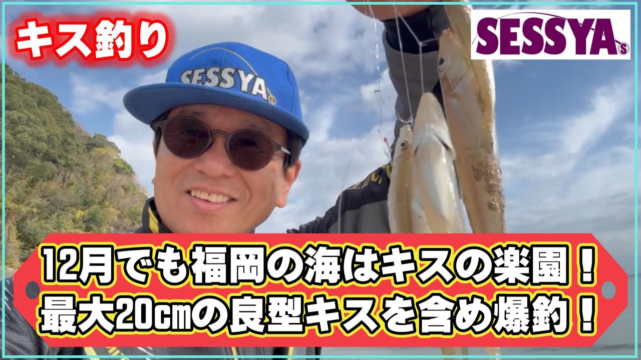 【キス釣り】12月でも福岡の海はキスの楽園！最大20cmの良型キスを含め爆釣！