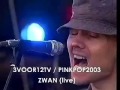Capture de la vidéo Zwan - Live 2003.06.09 [Pinkpop Festival / Megaland Pro-Shot Full Show]
