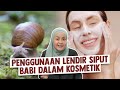 Penggunaan Lendir Siput Babi dalam Kosmetik