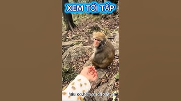 ĐÚNG LÀ CÁI NẾT HẦU CA VẪN VẬY KKK #shorts