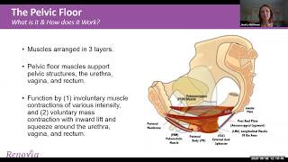 Ieva Digital® Therapeutic: Movemement-based Pelvic Floor Muscle Training , Presented by Renovia