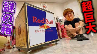 レッドブル公式から謎の超巨大な箱届いたので開封！【RedBull】