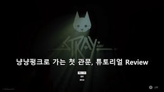 BGM_WEN) 냥냥펑크 STRAY, 오프닝과 튜토리얼 소개