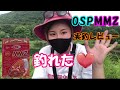 ヌルヌル♡ミミズワーム実釣レビュー～おっきいの釣れました♡OSP　MMZ チビ～【釣りガールポーリー】