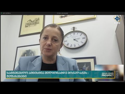 სამშენებლო ამნისტია მილიონამდე მოქალაქეს - შეფასებები