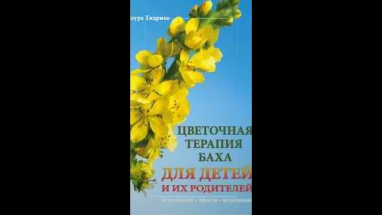 Цветы Баха Официальный Сайт Купить