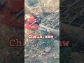 Wood cutting with chain saw #chainsaw #woodscraft #chainsawcarving #woodworkingjig #carving