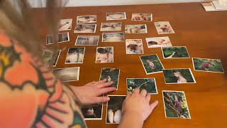 Video submission for ASU ART317 Assignment 2 by Kayla Savage