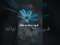 خواطر مطلقة الحياة كالوردة تطويرالذات 
