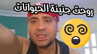 شمبر فى جنينة الحيوانات ( الحمار الوحشى طلع مش وحشى )