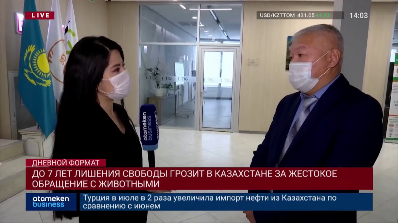 ДО 7 ЛЕТ ЛИШЕНИЯ СВОБОДЫ ГРОЗИТ В КАЗАХСТАНЕ ЗА ЖЕСТОКОЕ ОБРАЩЕНИЕ С ...