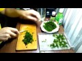 Как высаживать яванский мох  Java Moss / How to plant java moss Java Moss