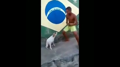 Jaran Goyang Versi Anjing