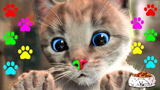 Cute Little Kitten Adventure - Cat Fun And Pet Care - Cats And Kittens #Kitten