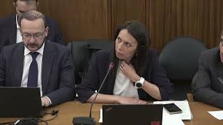 Audição da Presidente da Associação Portuguesa de Investidores Early Stage | Catarina Louro