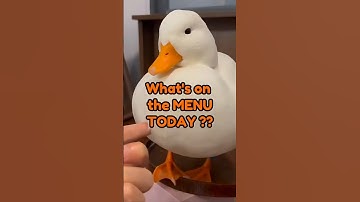 WHEN A GOOSE UNDERSTANDS HUMAN LANGUAGE