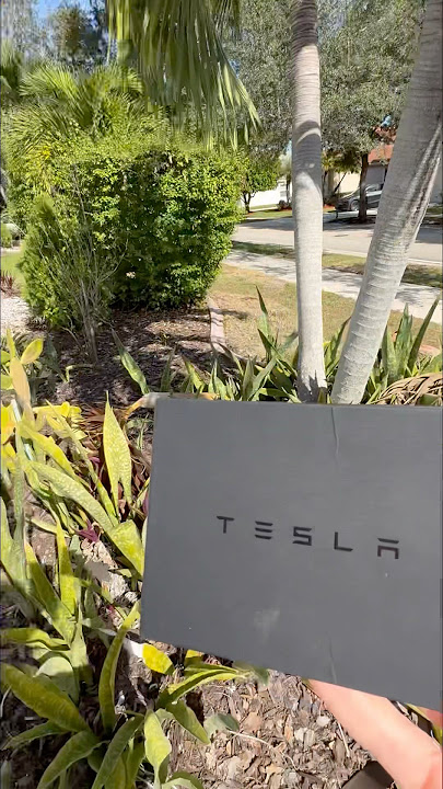 #tesla #cybertruck #automobile