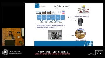 Finocchiaro Martina - Real-time neuromorphic encoding of visual stimuli (...)