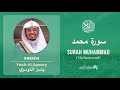 Quran 47   Surah Muhammad سورة محمد   Sheikh Yasir Al Dosary - With English Translation