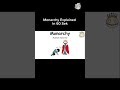 Monarchy Explained in 60 sek #monarchy #explained #animation #education