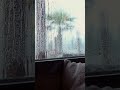 Calming Rain 🔹 #Short #rainsounds #Shorts