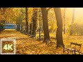 Planty Park in Kraków - Autumn Walking Tour | Poland in 4K | Beautiful Autumn in Kraków 🍂
