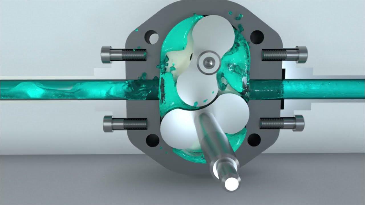 Rotary Lobe Pump What Is It? How Does It Work? YouTube