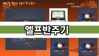 가장 많이 팔린 엘프반주기 추천 Top10!