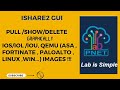 Ishare2 gui  how to pulldownloads  iolios fortioslinuxwin  images  graphically   in pnetlab