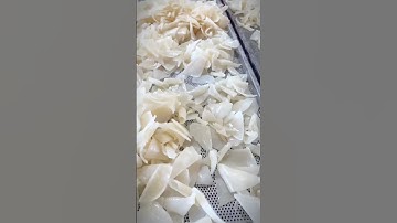 🏭✨ Bên trong nhà kho chế biến mứt dừa ngũ sắc handmade