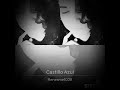 Castillo Azul/Ricardo Montaner Cover #smule