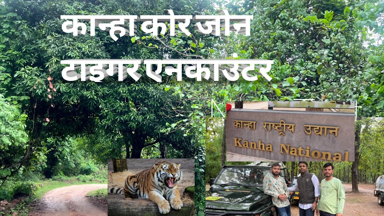kanha Tiger core zone full Video vlog Durgesh Journey