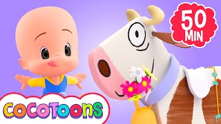 Big Dairy Cow and more Nursery Rhymes for kids from Cleo and Cuquin | Cocotoons