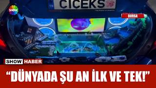 Servet harcayıp bagajına akvaryum yaptı!