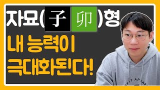 자묘상형은 찐 능력자!