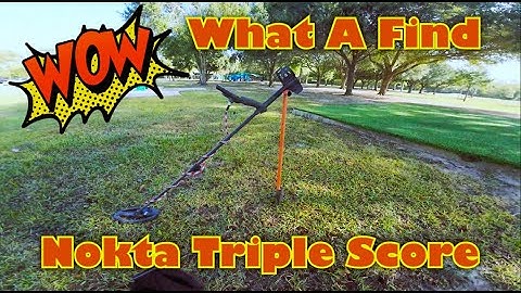 Wow What a Find Nokta Triple Score