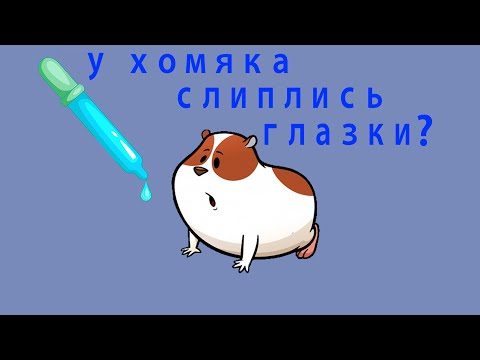 Почему у хомячка слиплись глазки? Как лечить коньюктивит?