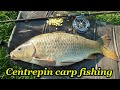 Centrepin Carp Fishing