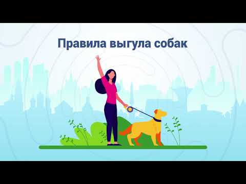 Правила выгула собак: за что могут оштрафовать