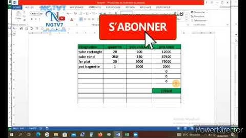 comment copier et coller un tableau Excel sur Word avec collage spécial