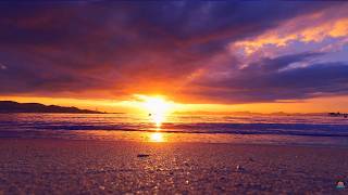 🔴 LIVE Sunset & Ocean Waves 🌅 Smooth Ambient Jazz | Relaxing Evening