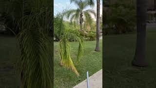 Parque acuático Santa Rita