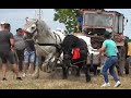 Concurs cu cai de tractiune proba de dublu Ruseni, Satu Mare 19 Iunie 2021 Nou!!!