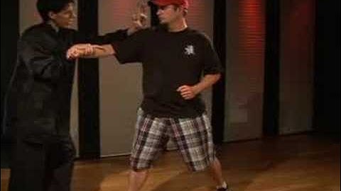 Northern Praying Mantis Kung Fu Catching Techniques : Northern Mantis Kung Fu Catching Techniques: Palm Strike & Groin Kick