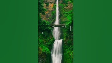 وتوكل على العزيز الرحيم #سورة الشعراء #القارىء عمر شامي #shami1wan