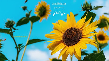 سورة النساء كاملة بصوت القارئ الشّيخ هاني الرّفاعي
